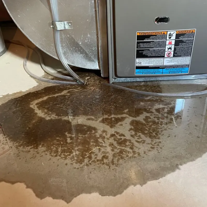 Pipe Burst and Leak Restoration in Masonboro, NC