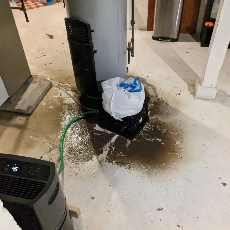 Sewage Backup Cleanup Service in Masonboro, NC
